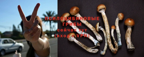 хмурый Балабаново