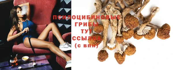 твердый Балахна